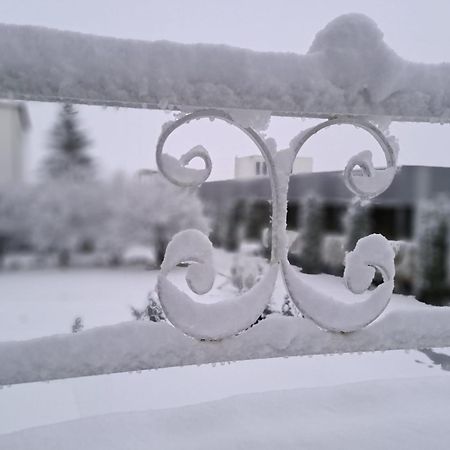 Pensiunea Diamant Ghimbav Экстерьер фото